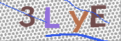 CAPTCHA (Şahıs Denetim Kodu) Resmi